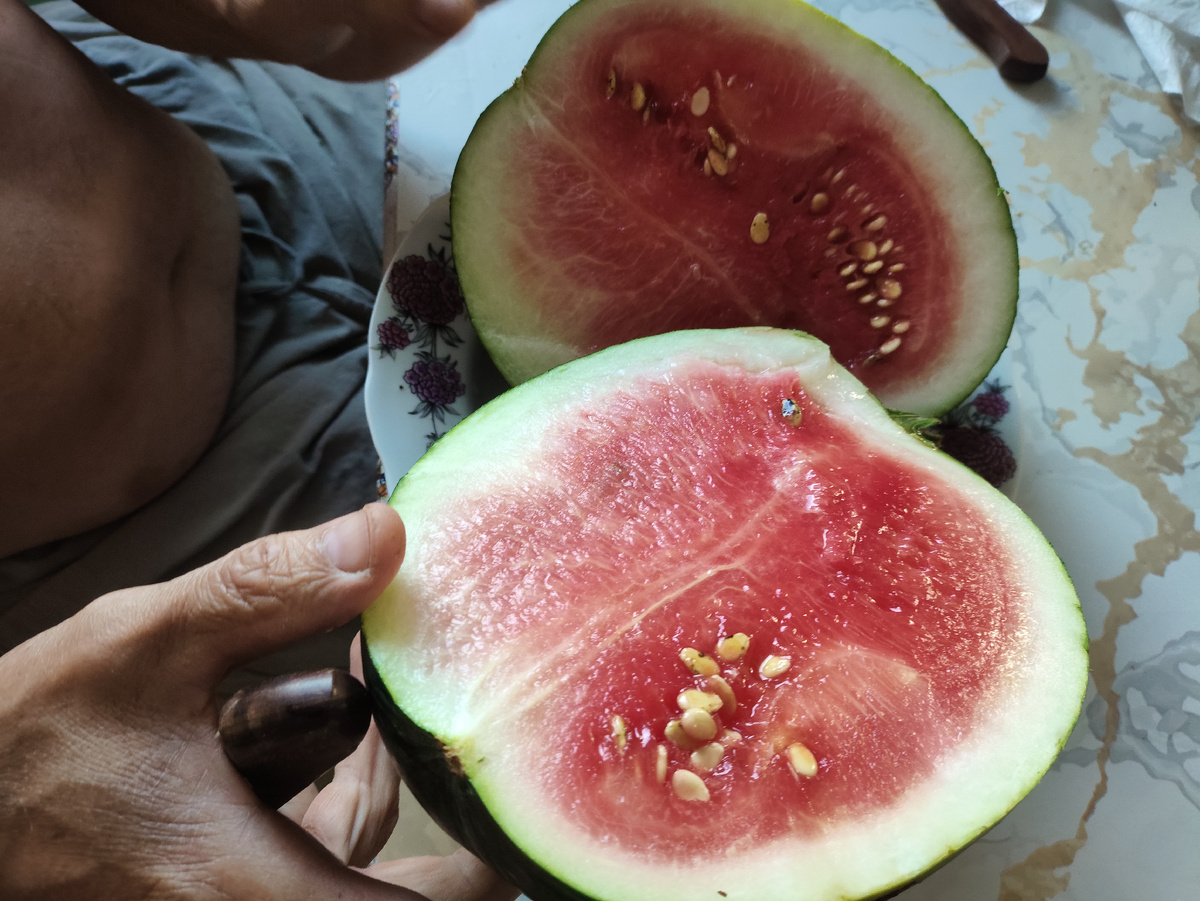 Но все равно очень вкусный. Заодно курам и уткам досталось много зеленой мякоти )))