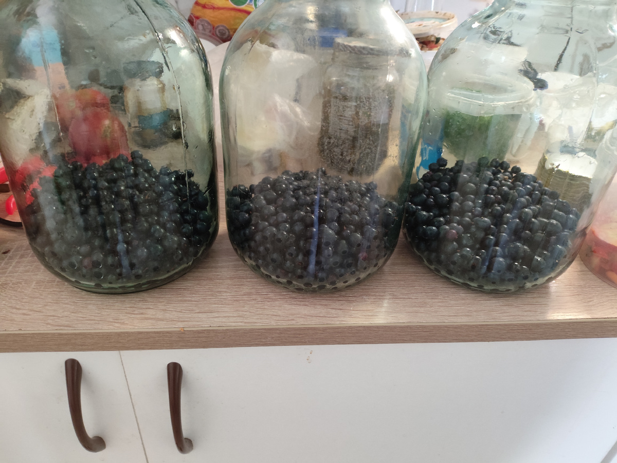 Многострадальная смородина наконец-то в банках )))