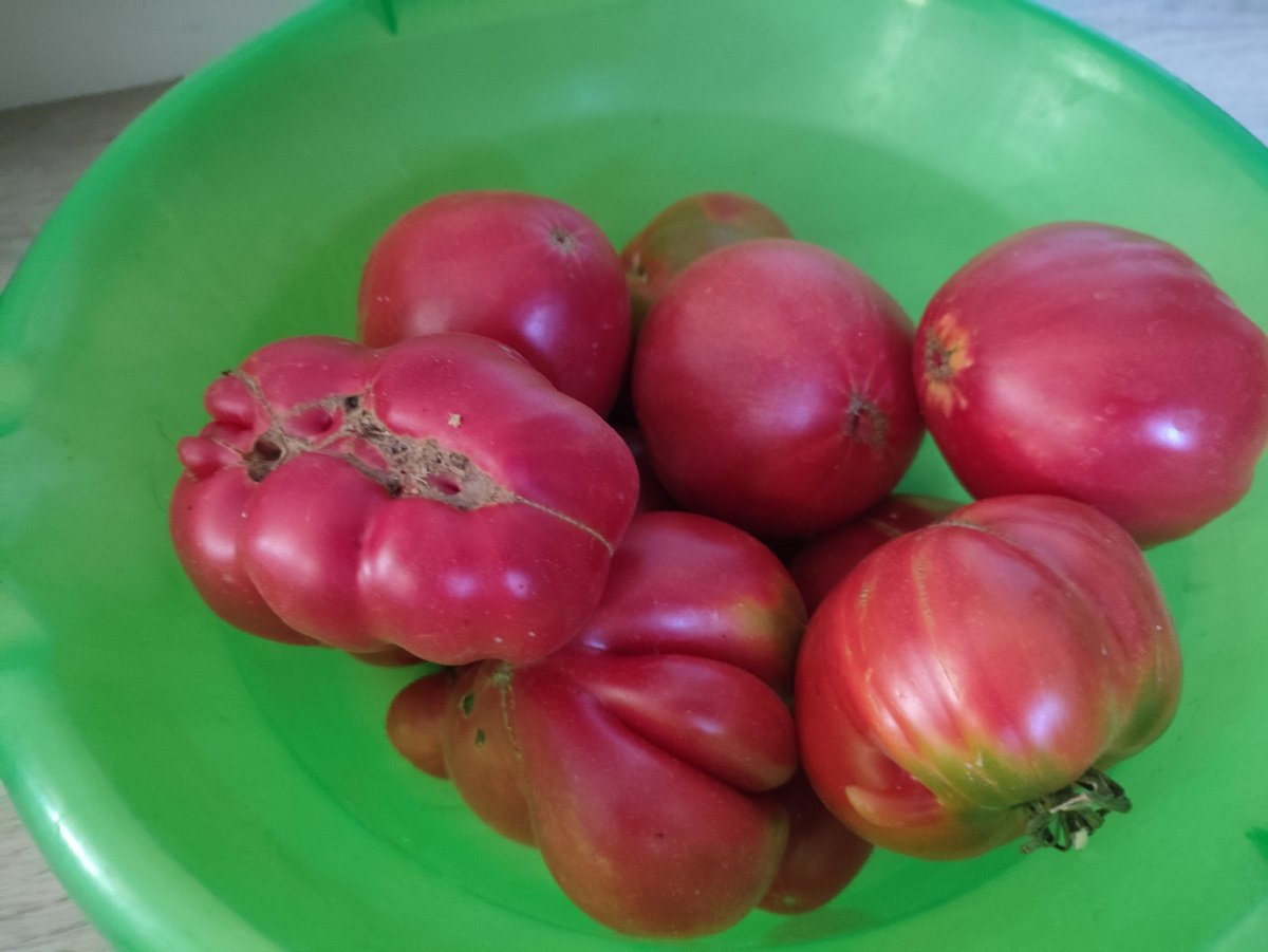 И еще целый тазик на еду