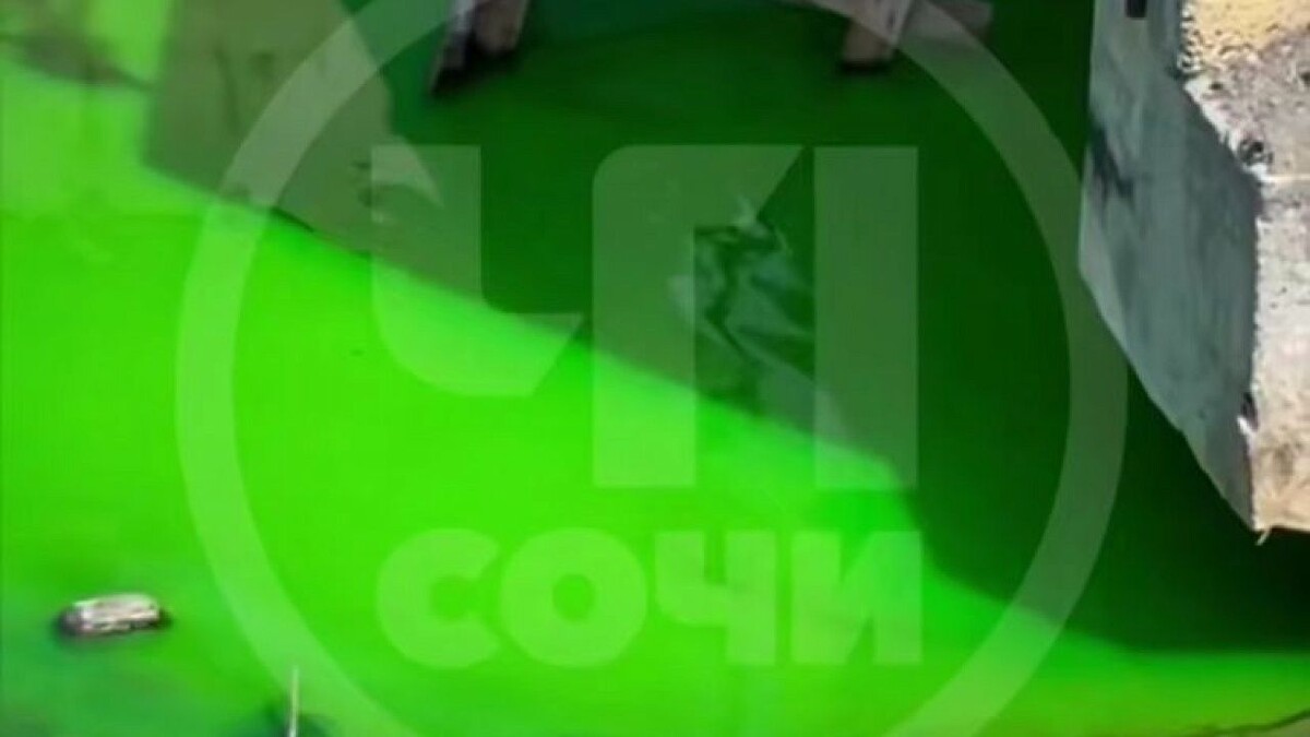    Фото: t.me/chp_sochi