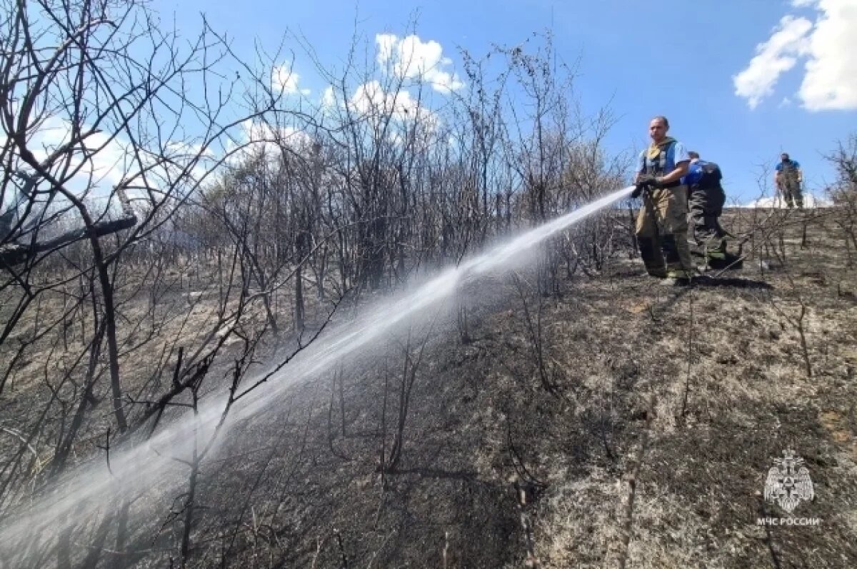    Под Керчью локализовали ландшафтный пожар