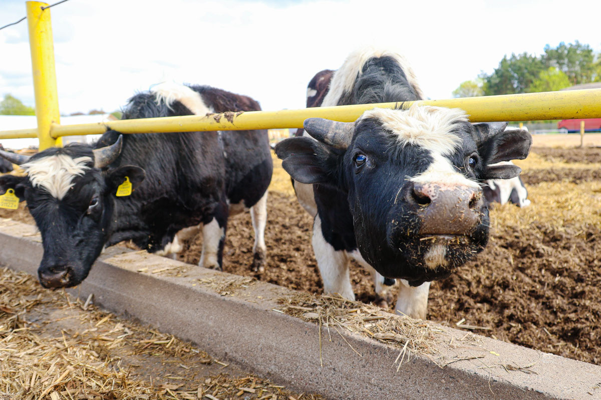    Изображение носит иллюстративный характер. Фото: Tochka.by