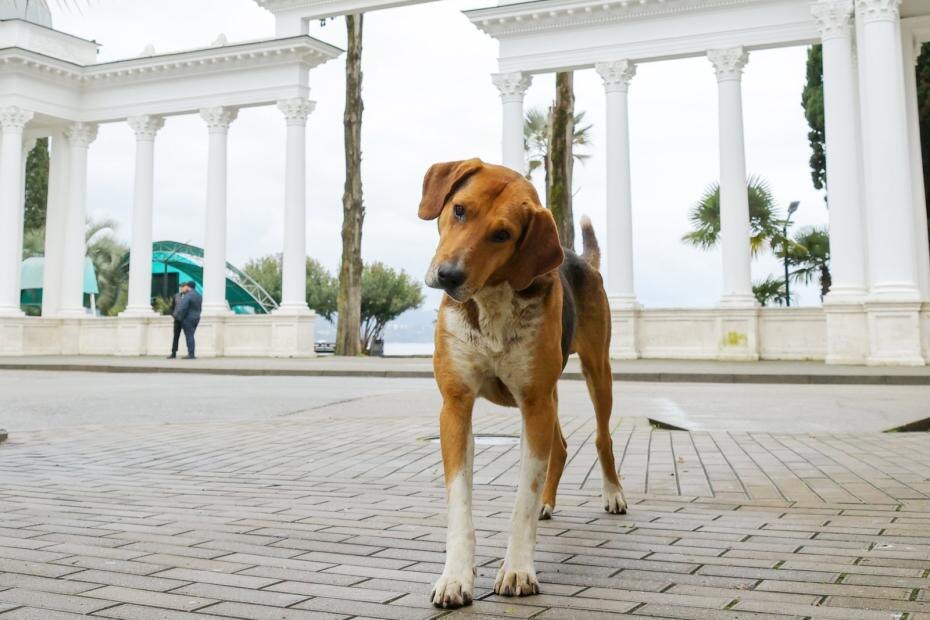    Сергей Петров/NEWS.ru