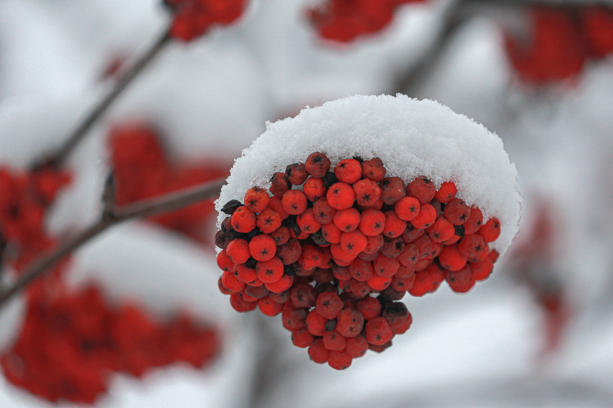 Фото: © Bulkin Sergey/ news.ru/ Global Look Press