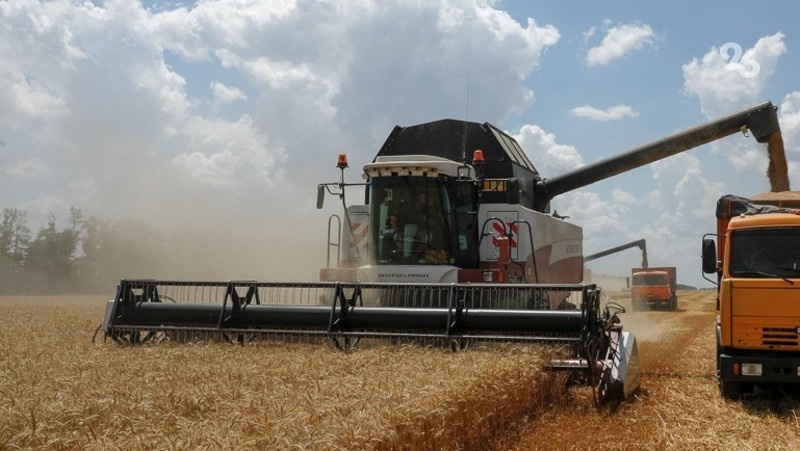    Уборочная кампания на Ставрополье Фото: ИА «Победа26»