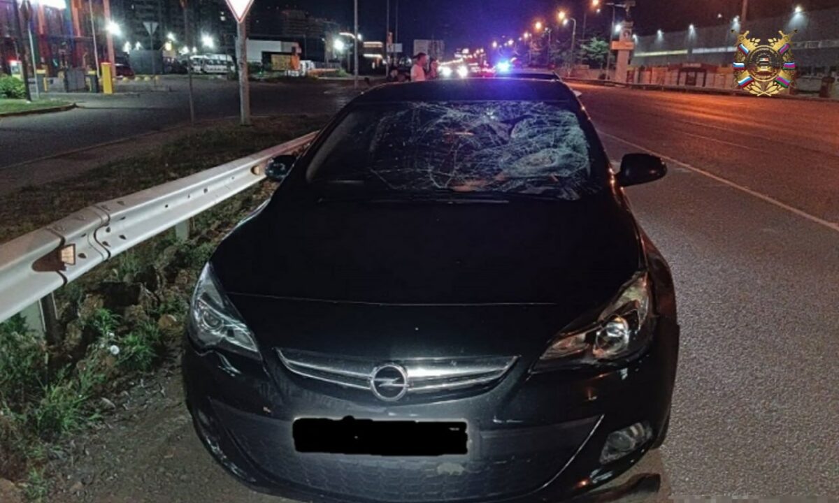    Фото t.me/gibdd123region