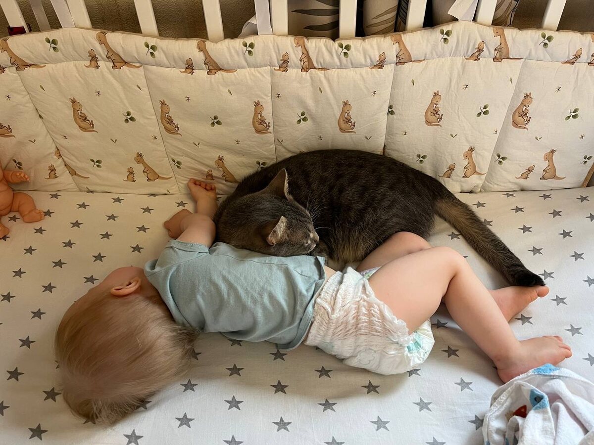 Разве после просмотра этой фотографиии найдутся злые комментарии?