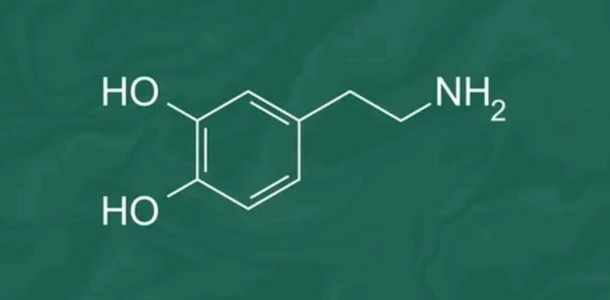 Дофамин. Химический дирижёр нашего мозга