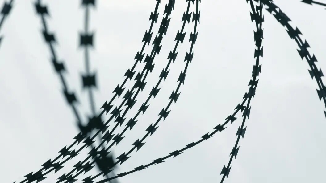    фото: ©IMAGO/Globallookpress.com