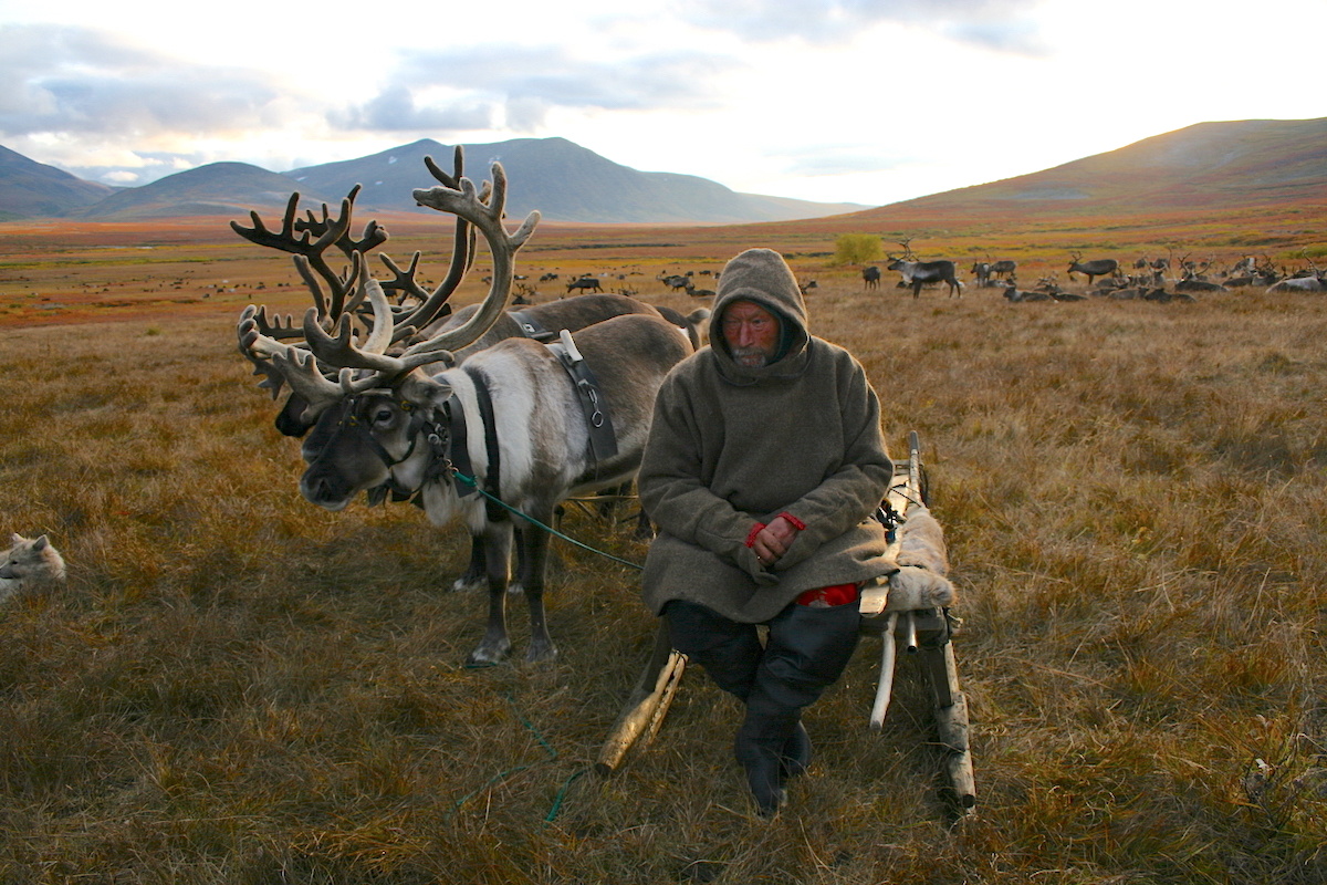 Оленевод коми. Фото: Александра Марчук / GeoPhoto