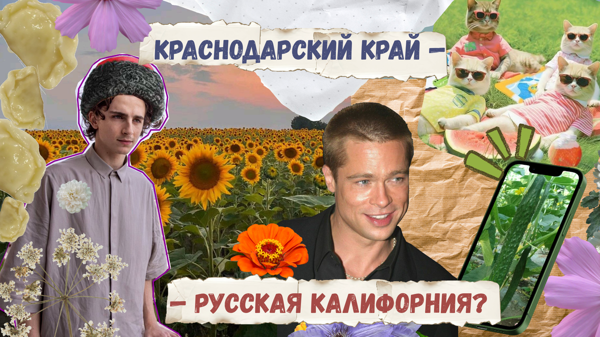 Продал дом в Малибу и взял ИЖС под Варениковской: огурцы душевнее пальм, а красностоп — поярче зинфанделя.