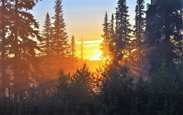 фото из интернета