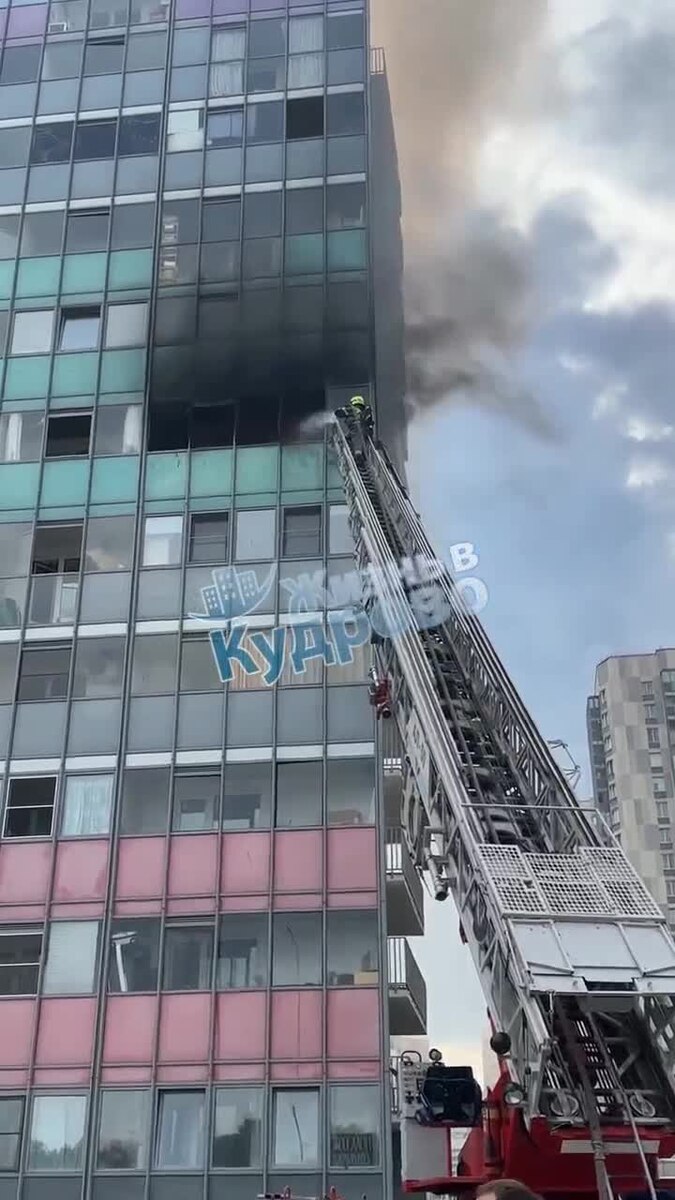    © Анастасия Илюшина / ЛенТВ24