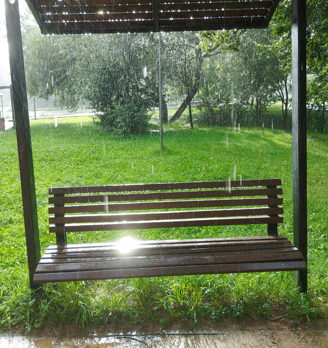 Дождь. Гуляю с внуками в Лианозовском парке. ЗДЕСЬ и далее фото автора и(или) из личного архива автора, если не указано иначе.