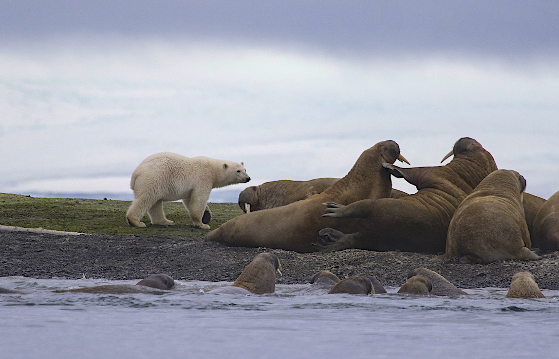 Фото: Николай Гернет / GeoPhoto