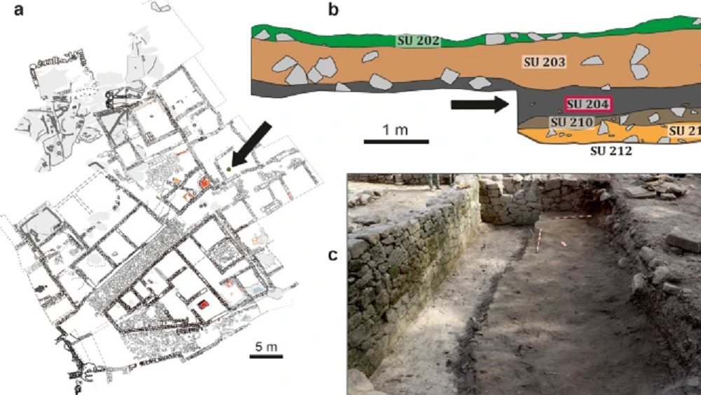     Фото: Fernández-Fernández, Archaeological and Anthropological Sciences