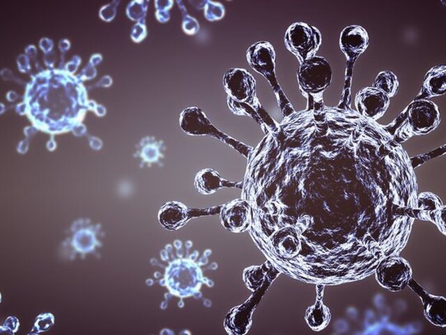    Фото: 123RF/eakrinr