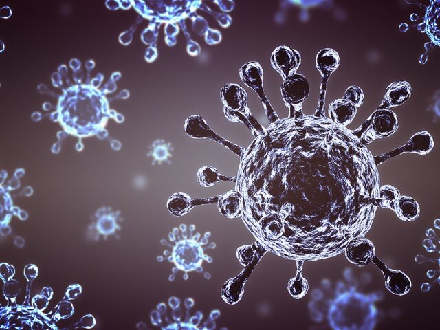    Фото: eakrinr/123RF