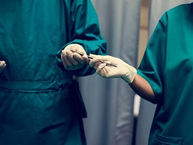    Фото: rawpixel/123RF