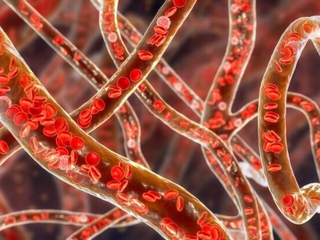    Фото: 123RF/drmicrobe