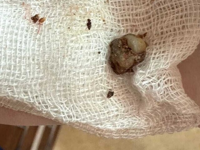    Фото: министерство здравоохранения Московской области/