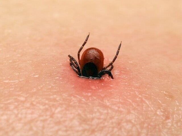    Фото: 123RF/natalyaa