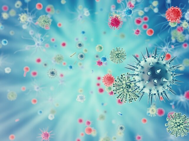    Фото: rost9/123RF