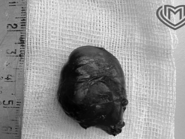    Фото: телеграм-канал "Московская медицина"/