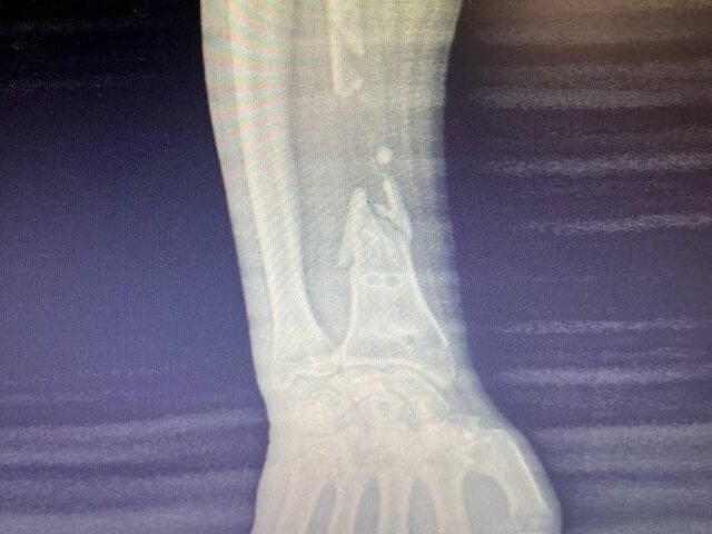    Фото: министерство здравоохранения Московской области/