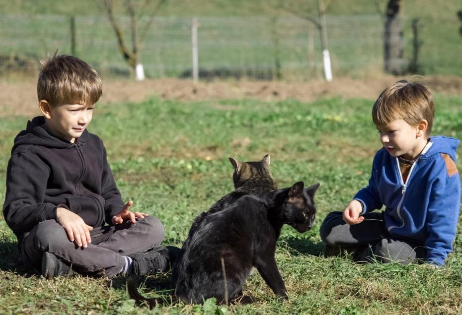    Shutterstock/FOTODOM