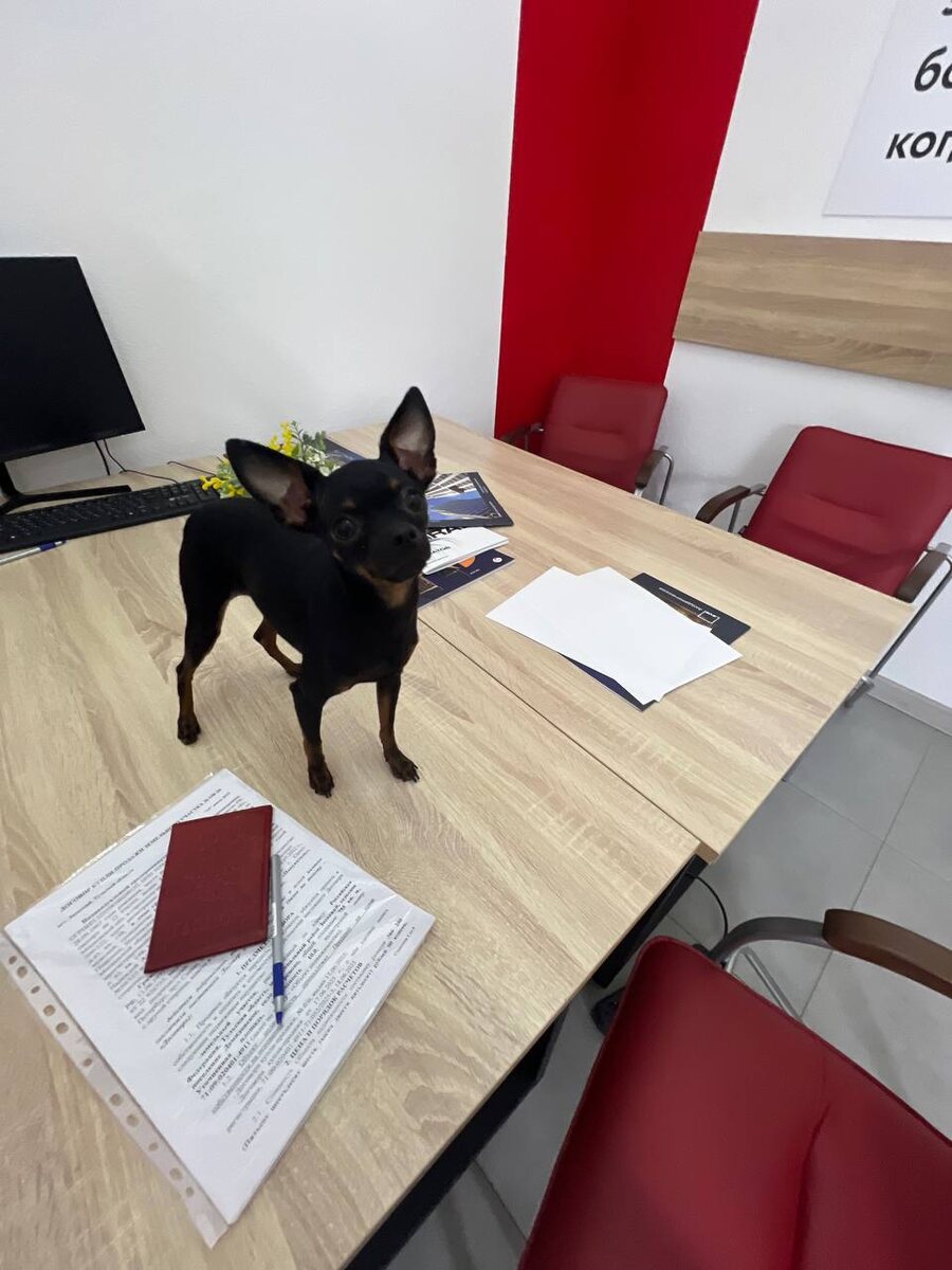 Принцесса Боннита принимала участие в подписании документов на владение землёй в Тульской области. Она теперь замлевладелица и помещица. Фото из личного архива автора.