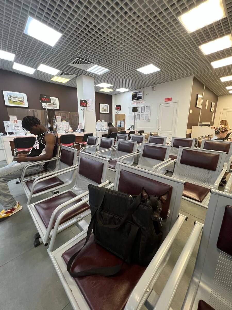 Принцесса Боннита оценивает обстановку в МФЦ в ЖК Бутово-Парк и высматривает людей, на которых можно напасть. Мало ли они несут в себе опастность для нас. Фото из архива автора.