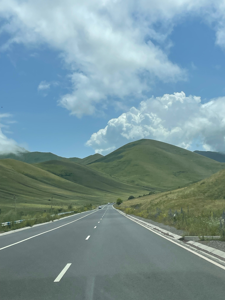 Будто бархатные холмы.