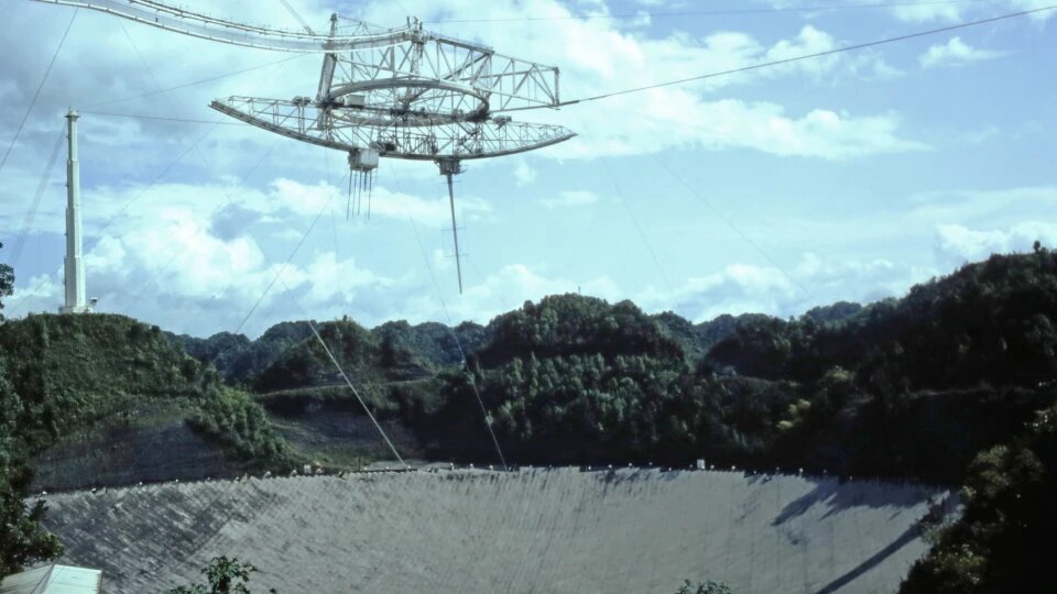 Фото: wikimedia.org