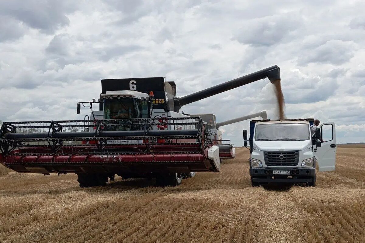     © Министерство региональной политики и массовых коммуникаций Ростовской области. Мариам Ананян