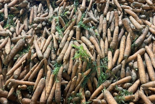   Фото из архива Калининград.Ru