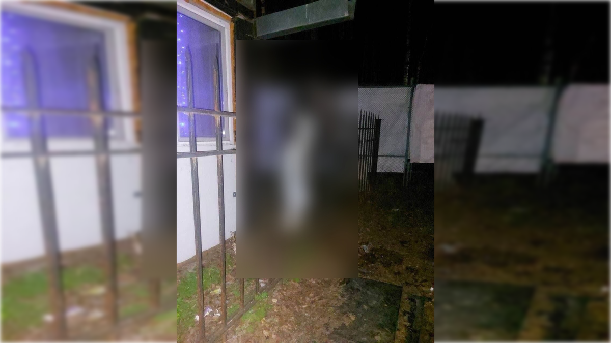 Фото: соцсети