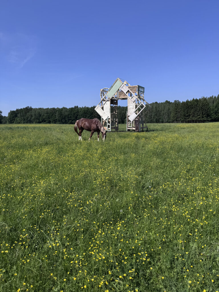 Гриша Joy — «К-объект» smirnov  📷
