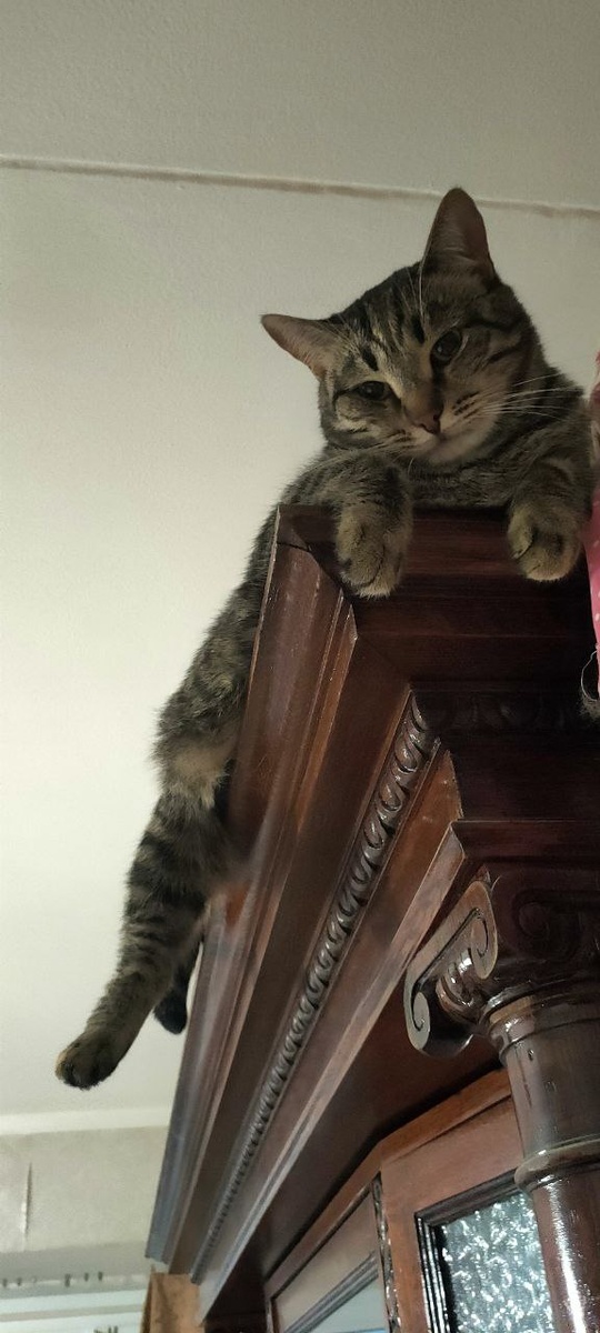 Ну давай, рассказывай!