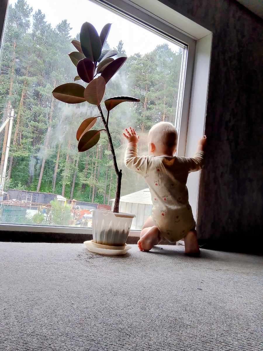 Любимое место на лестнице 