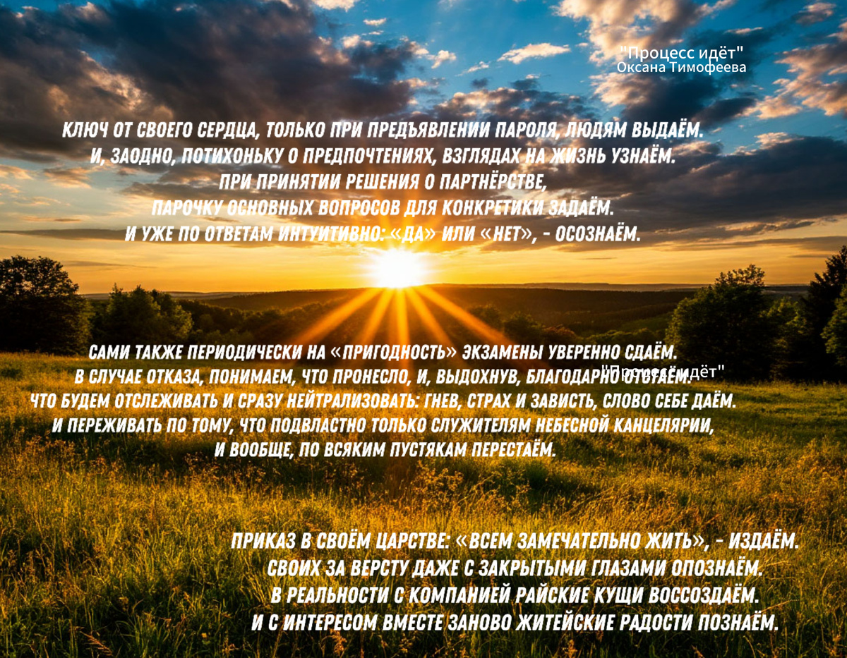 "Процесс идёт". Оксана Тимофеева (автор)