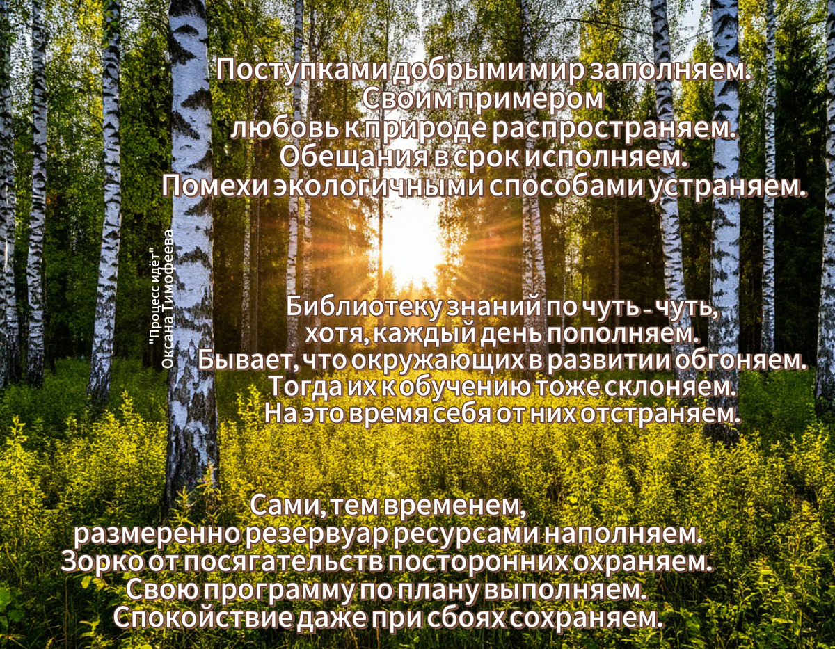 "Процесс идёт". Оксана Тимофеева (автор)