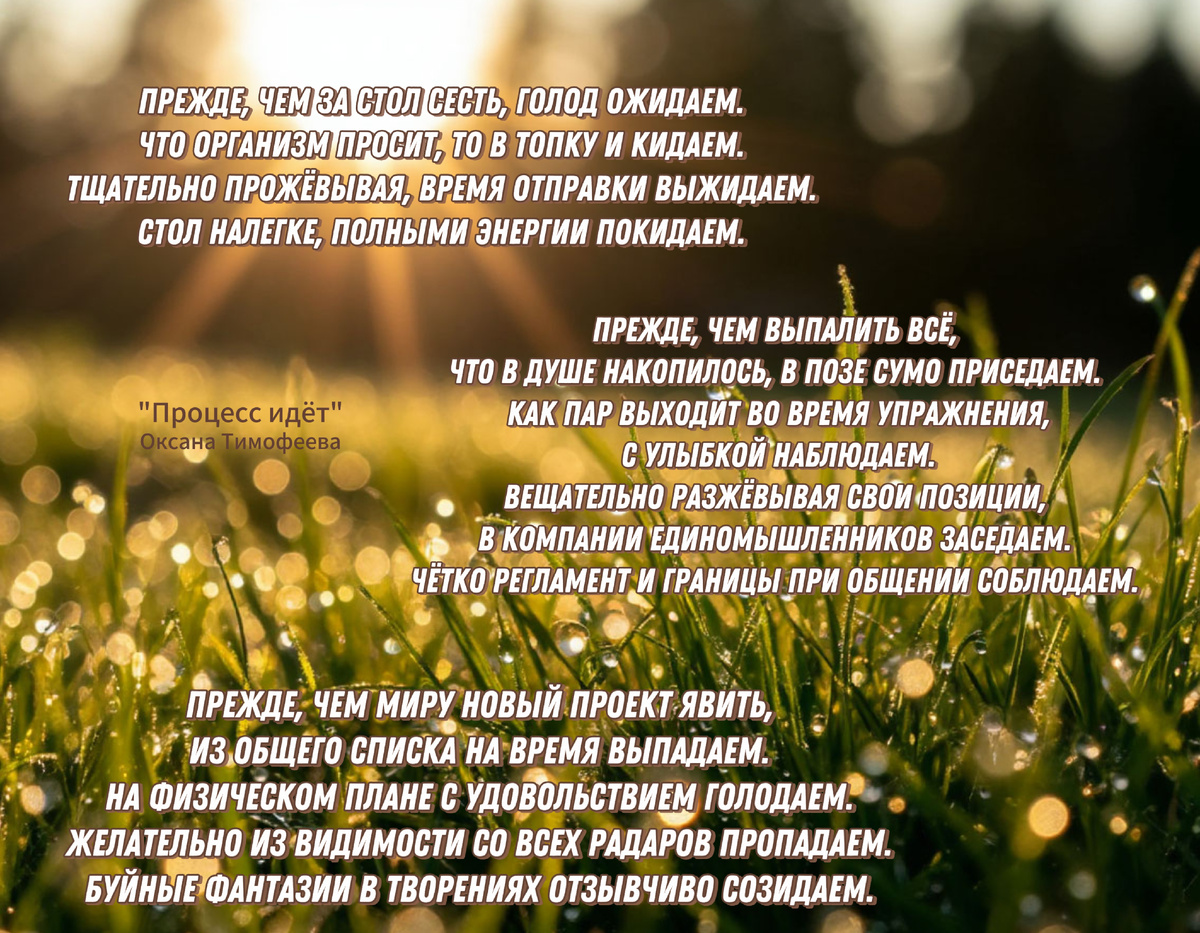 "Процесс идёт". Оксана Тимофеева (автор)