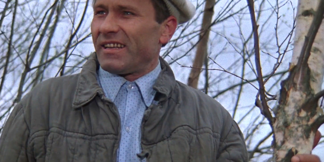 Тест. Вспомните фильмы с участием Василия Шукшина