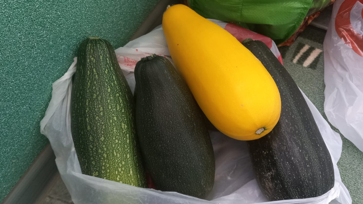 Результат правильной обработки - плоды всех размеров остаются здоровыми