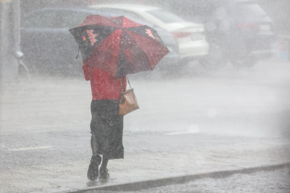    Фото: Алексей Белкин/NEWS.ru