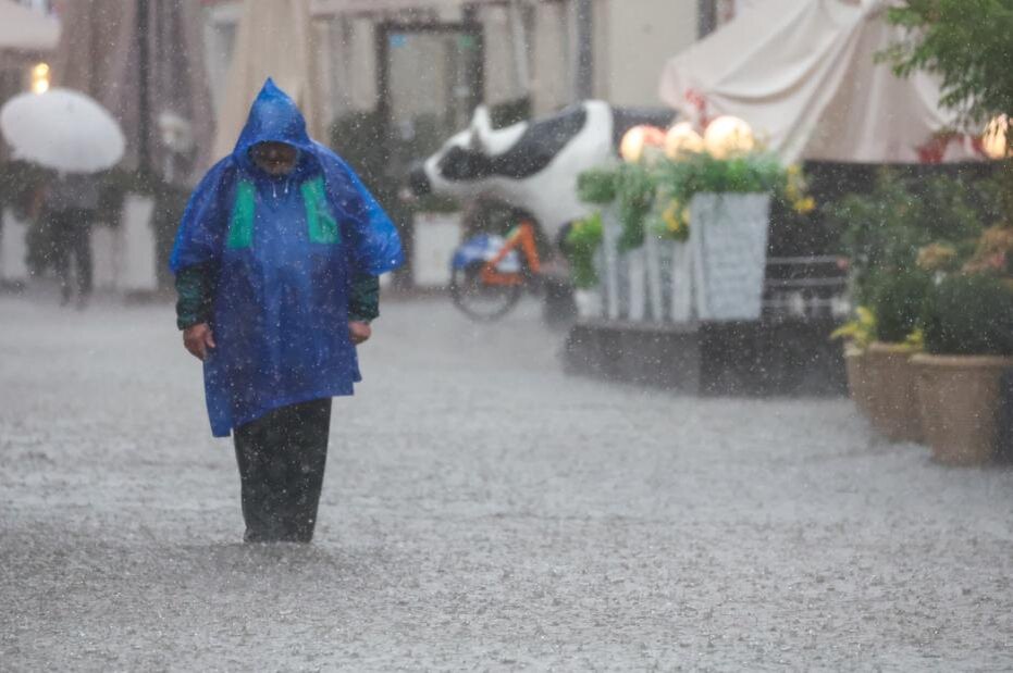    Фото: Алексей Белкин/NEWS.ru