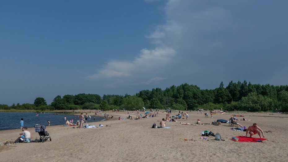    Автор фото: Тихонов Михаил/"ДП"