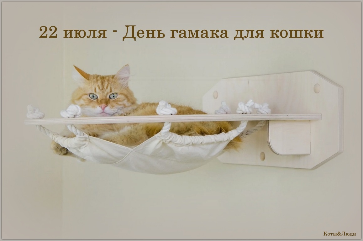 Коллаж автора. Источник фото: market.yandex.ru