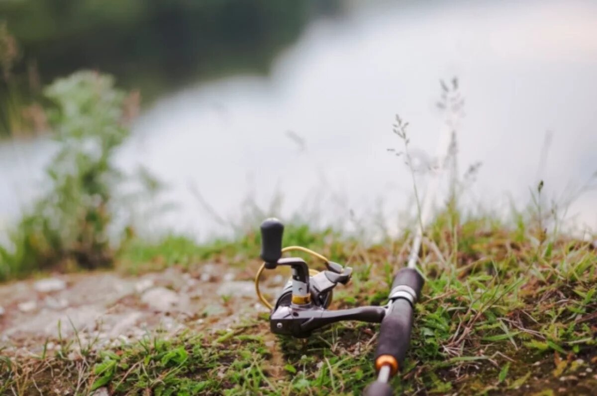    Брянский рыбак зацепил провода удочкой и частично обгорел